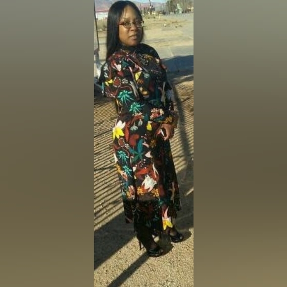 Meet your Posher, Scottie - Picture 11 of 16